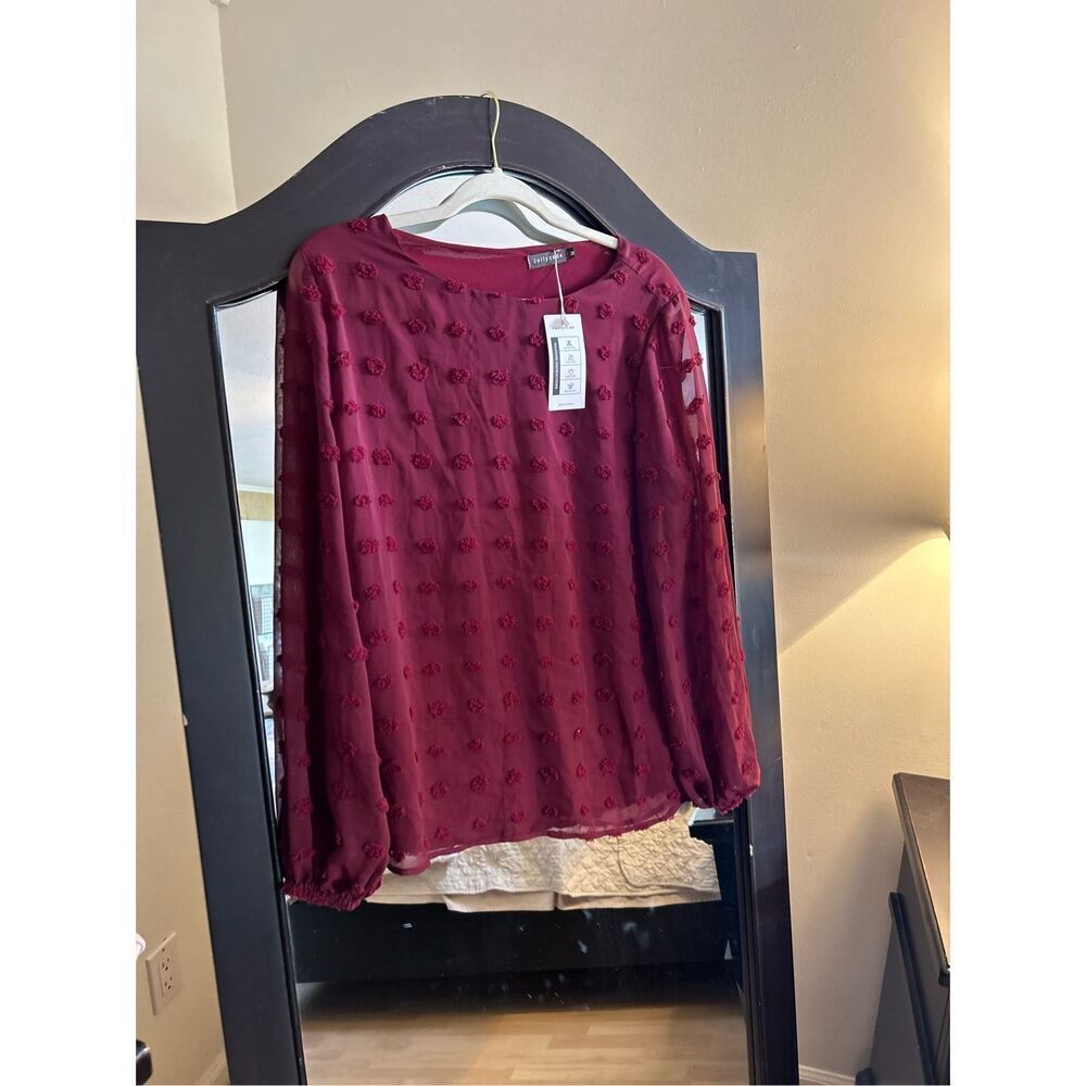 NEW Swiss Dot Chiffon Long Sleeve Shirts Top M